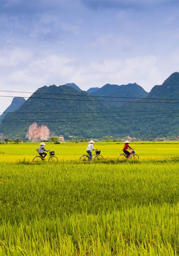 VIETNAM