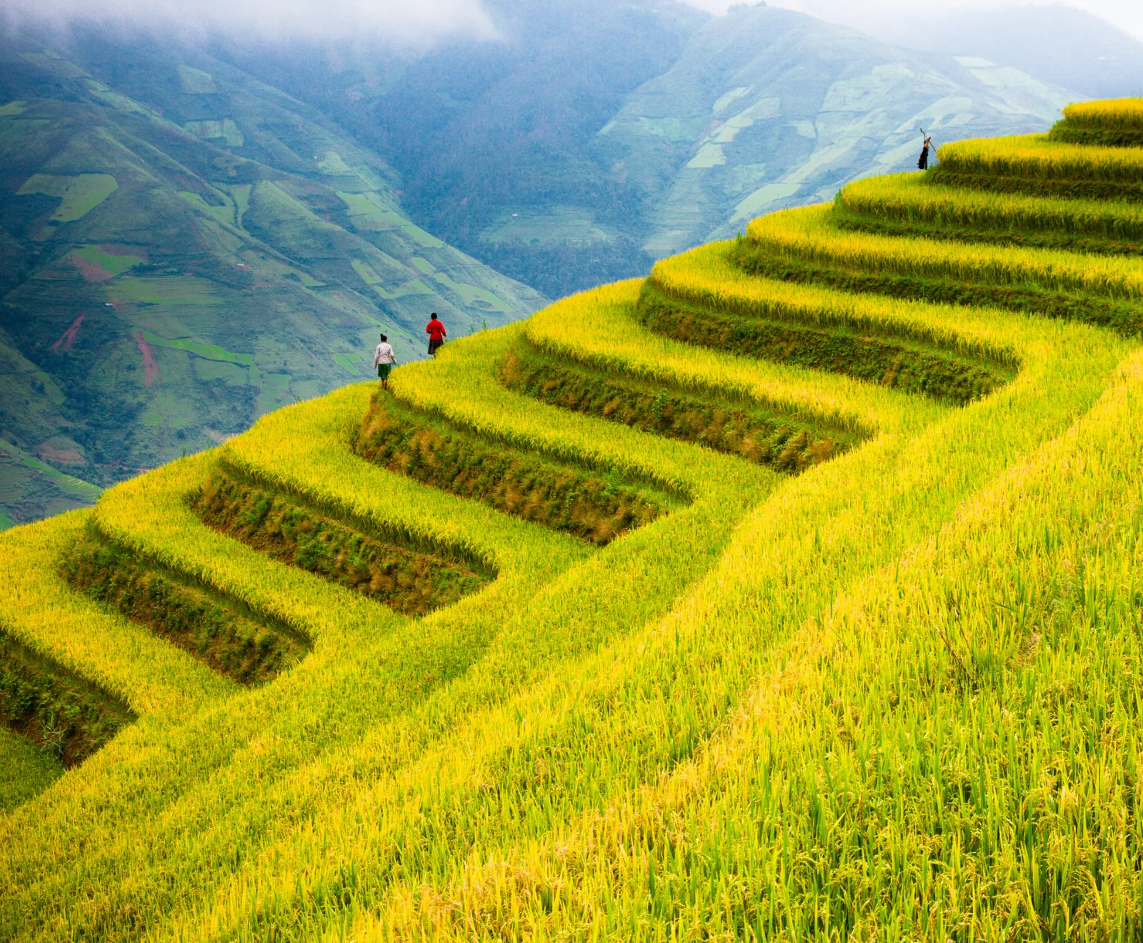 17D16N VIETNAM PANORAMA (4)