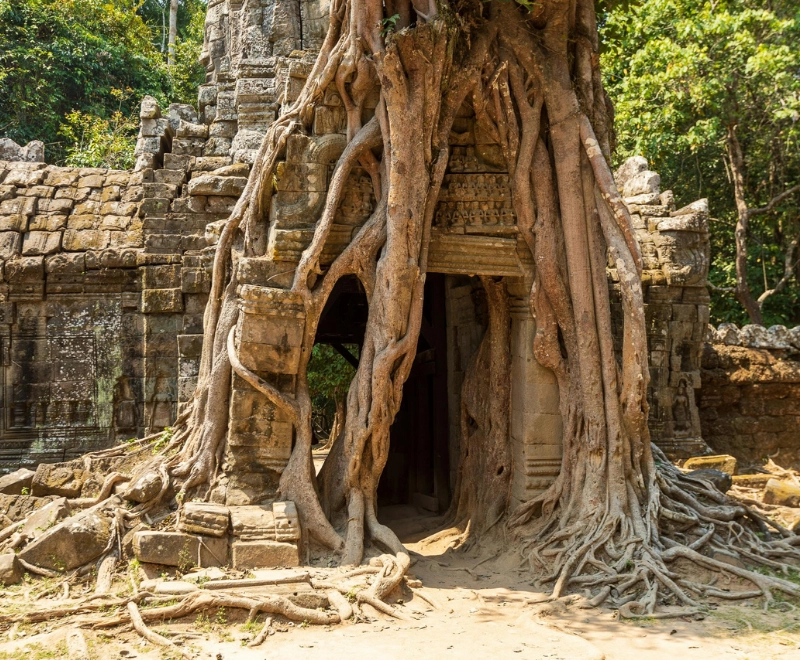 Wonderful Vietnam & Cambodia - 1