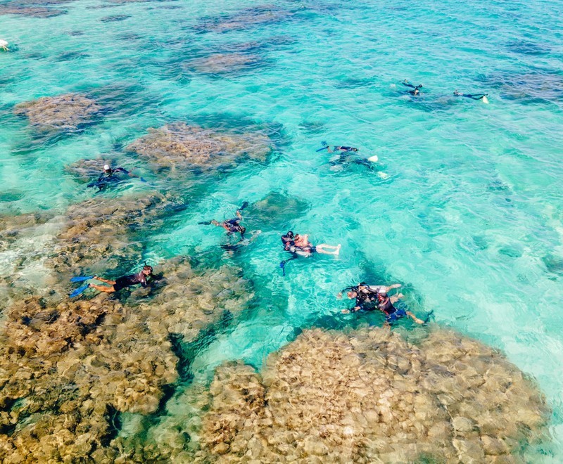 gallery-22-snorkeling